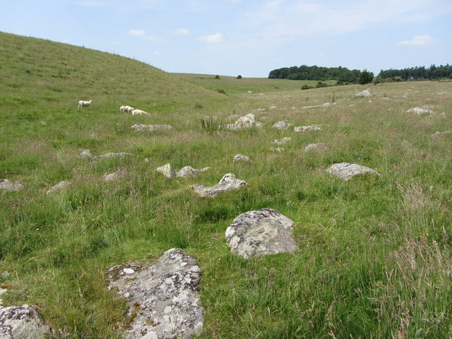 Sarsen stones on Fyfield Down, twenty miles north of Stonehenge