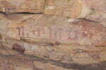 Rock painting of Selva Pascuala, near Villar del Humo, with fungiform representations 