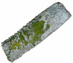 Trilithon One, lintel 152, viewed from top, showing crinkles and mosses and grass, north is up